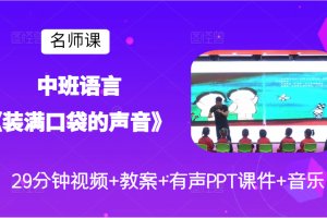 名师优质课中班语言《装满口袋的声音》绘本公开课观摩视频+教案课件PPT音乐